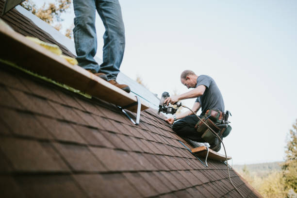 Quick and Trustworthy Emergency Roof Repair Services in Biloxi, MS